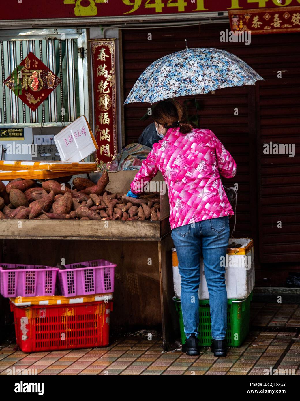 A shopper carrying an umbrella, looks through sweet potatoes during her shopping at a market as a northern monsoon brings cooler weather and rain to Hong Kong. A rainy, spring day in Hong Kong. Stock Photo