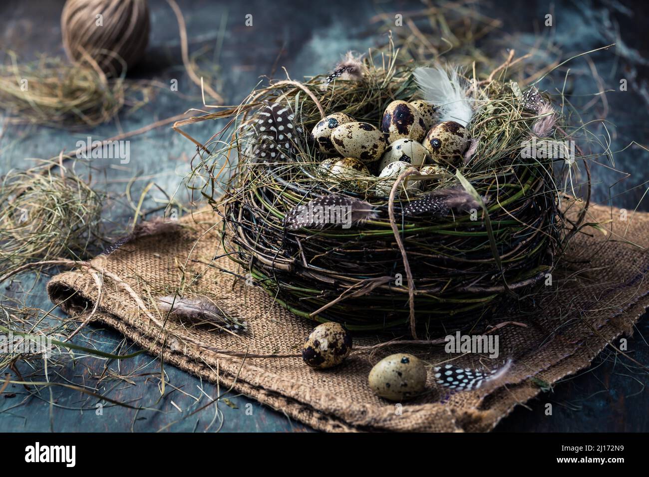 Nest with quail eggs for Easter and blooming branches on black background Stock Photo