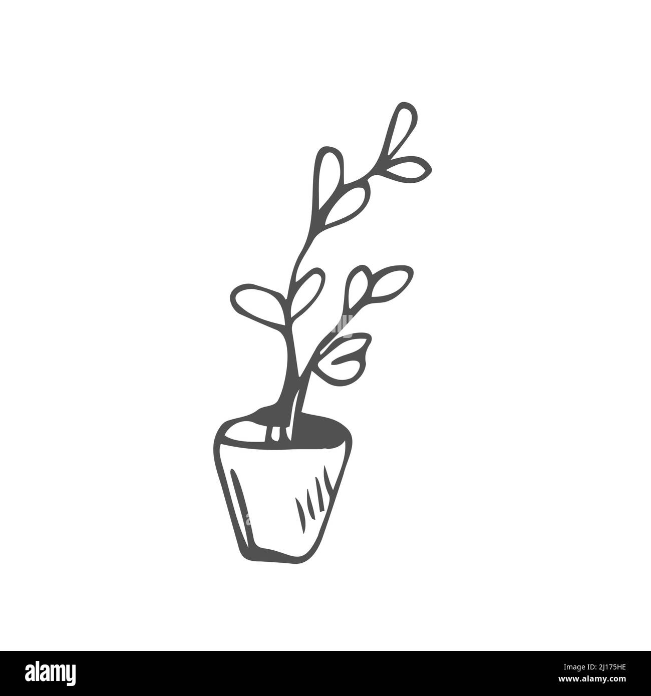 Ficus hand drawn vector outline doodle icon. Decorative potted house plant sketch illustration for print, web, mobile and infographics isolated Stock Vector