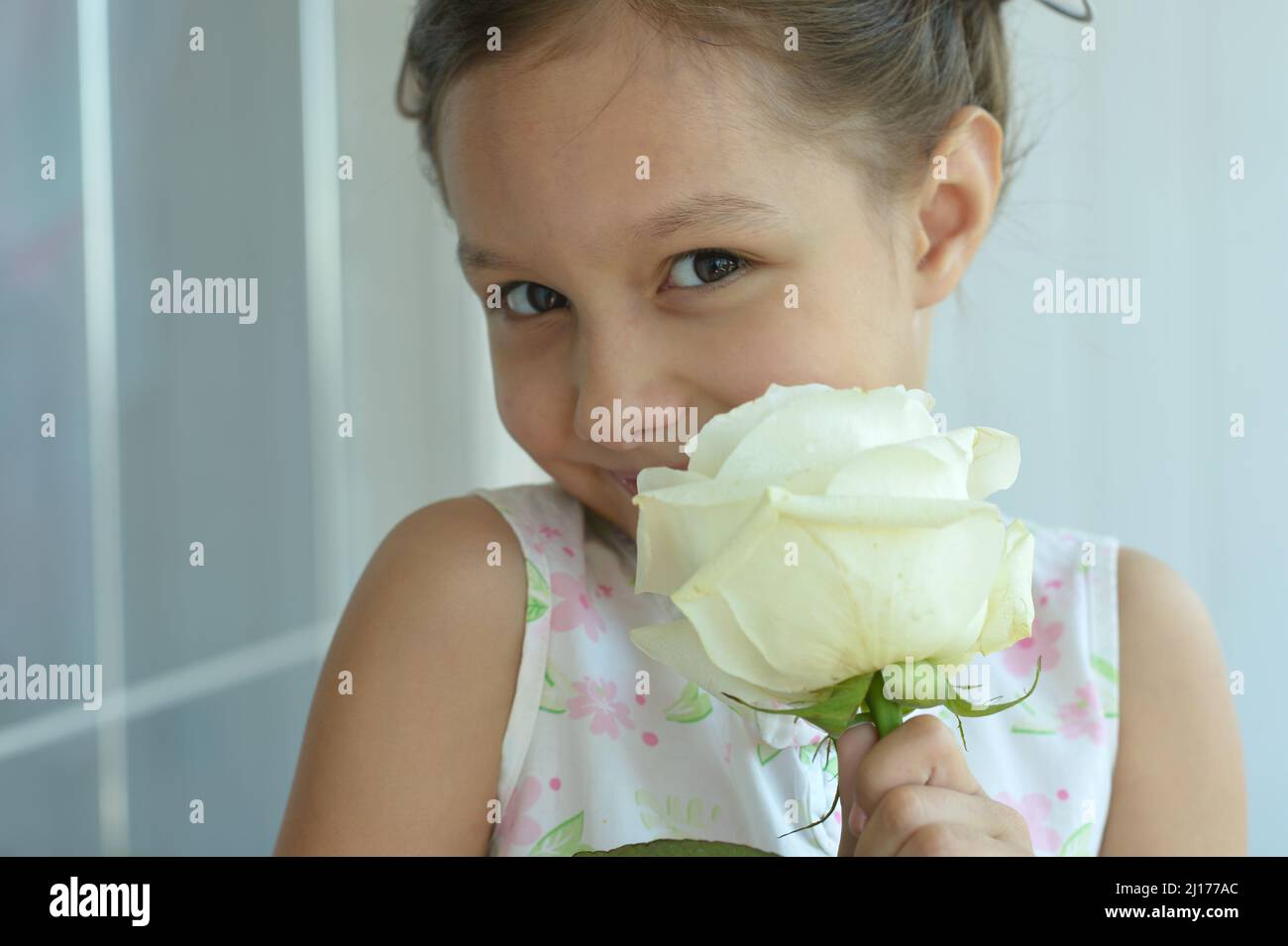 Portrait of a cute little girl at home with rose Stock Photo - Alamy