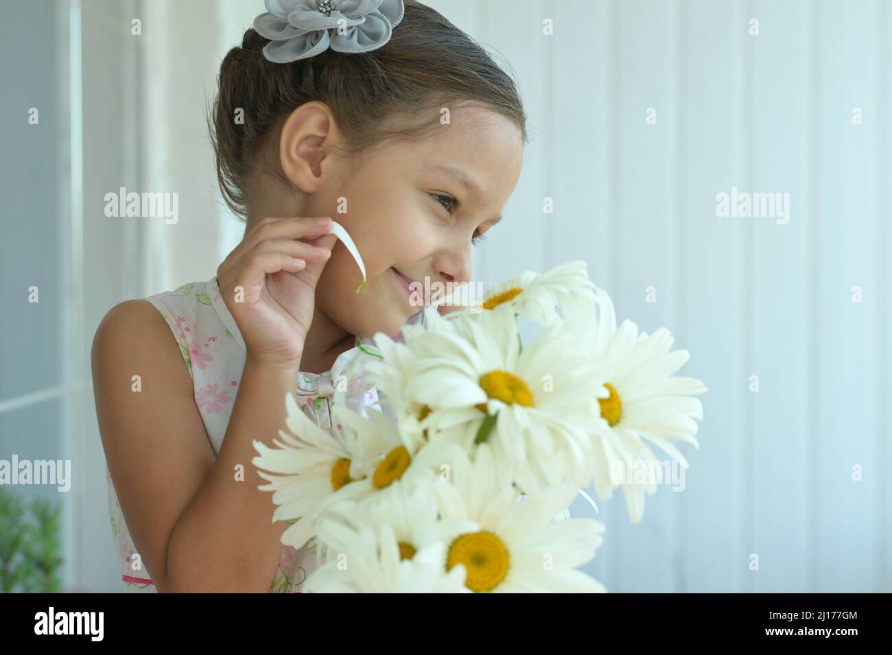 Portrait of a cute little girl at home with chamomiles Stock Photo - Alamy