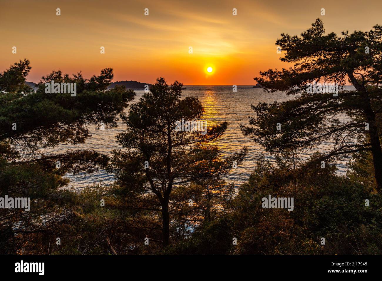 Sunset Rocks Trees Branch rocks sea sunset sky branch hi-res stock photography and images ...