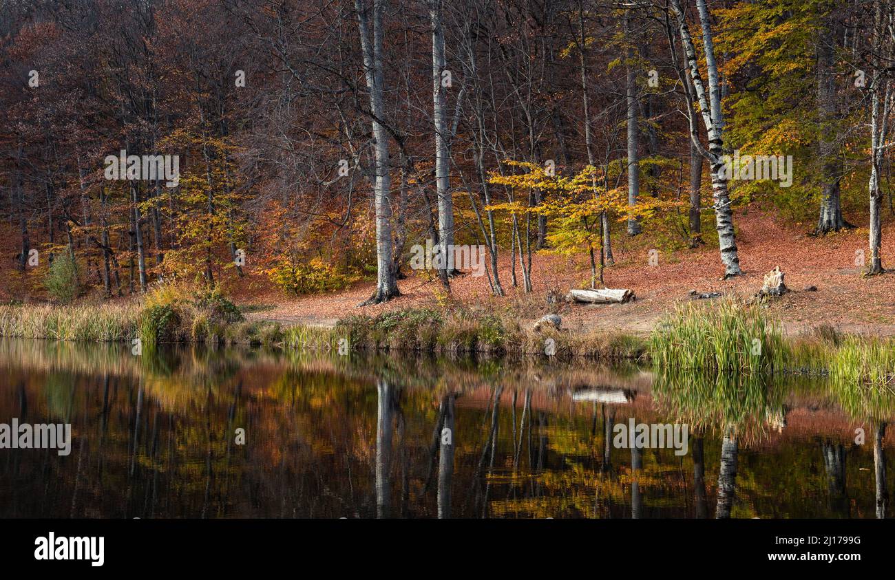 Gosh lake during late autumn Stock Photo
