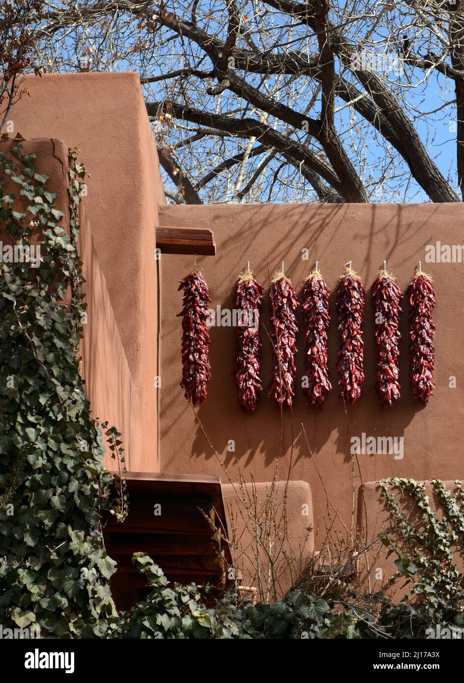 Decorative stringed chili pepper pods, known as ristras, hang outside