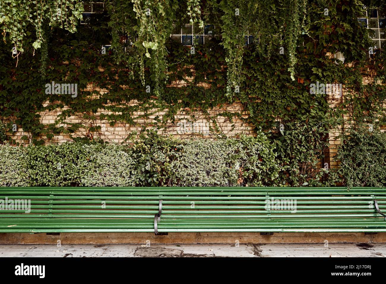 Empty green park bench hi-res stock photography and images - Alamy