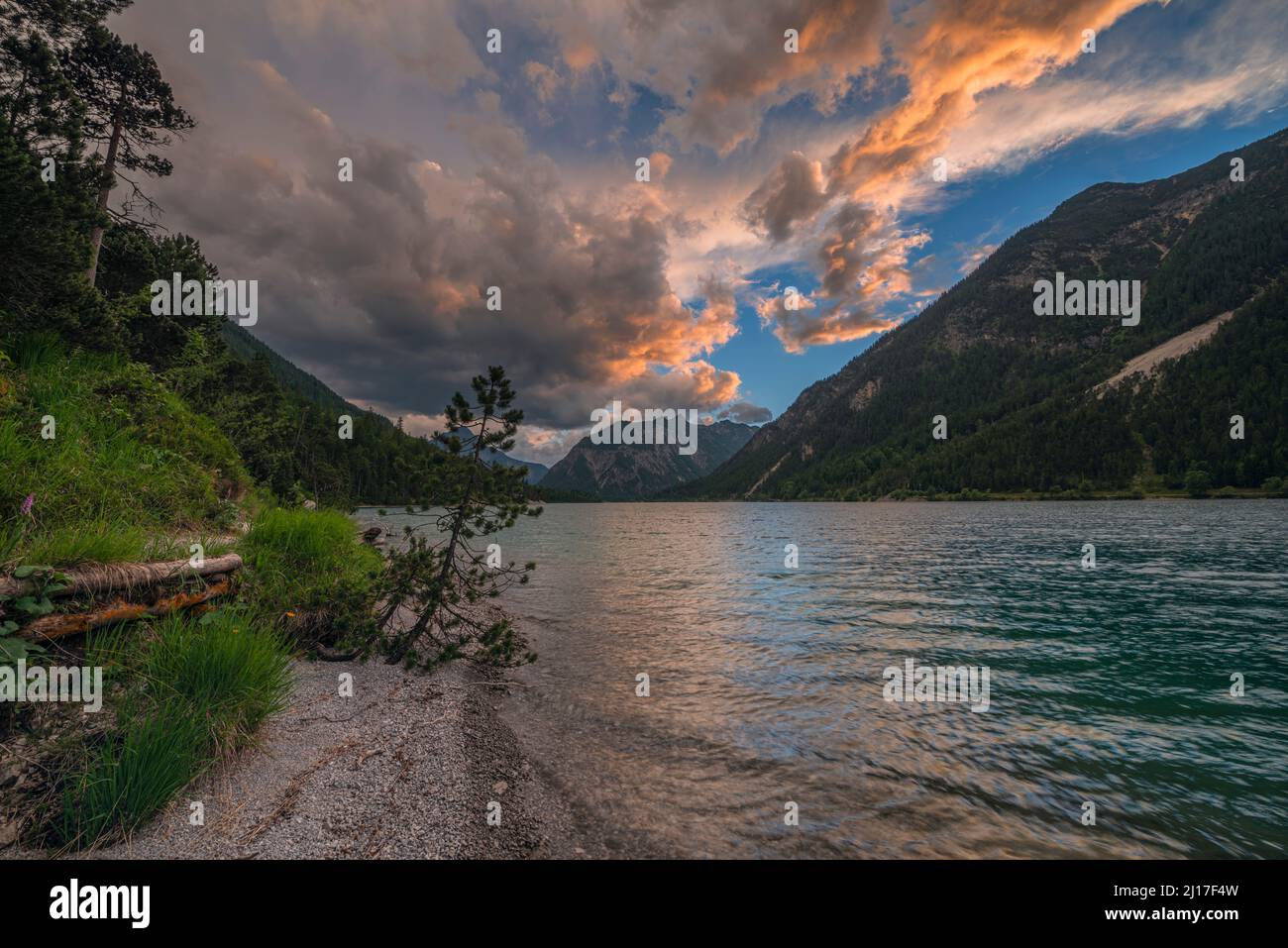 Shore of Plansee lake at cloudy summer dusk Stock Photo