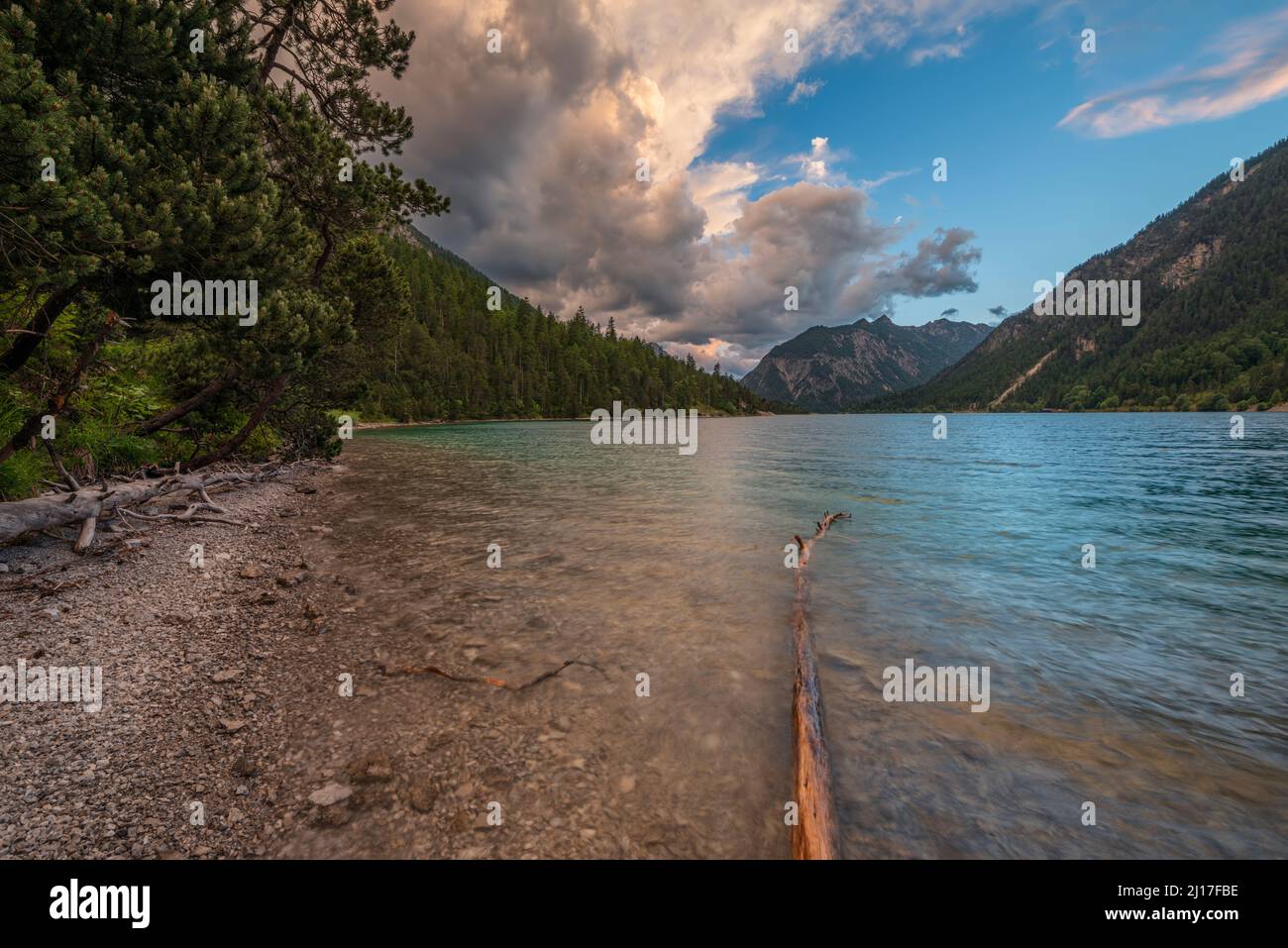 Shore of Plansee lake at cloudy summer dusk Stock Photo