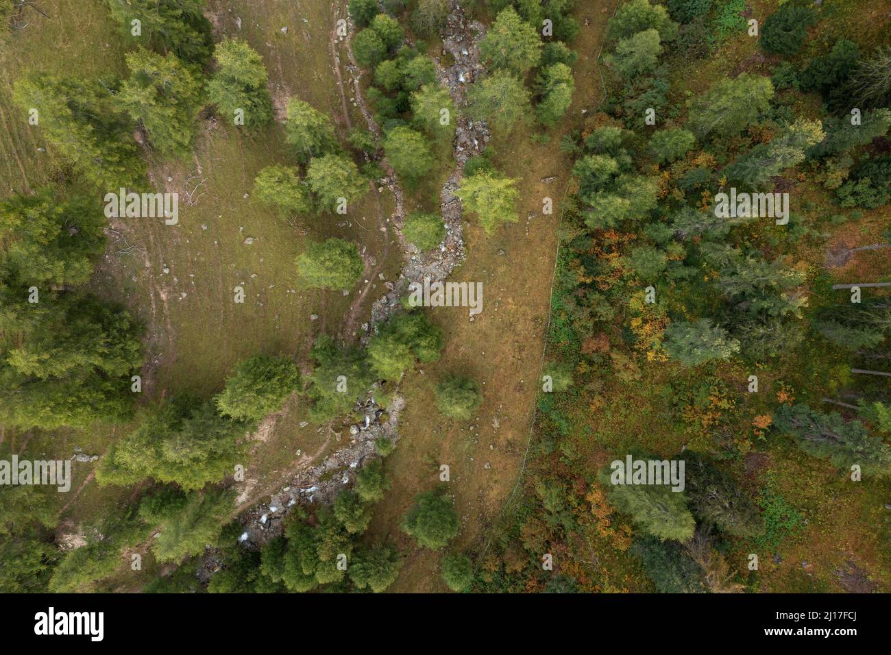 Surrounded trees hi-res stock photography and images - Alamy