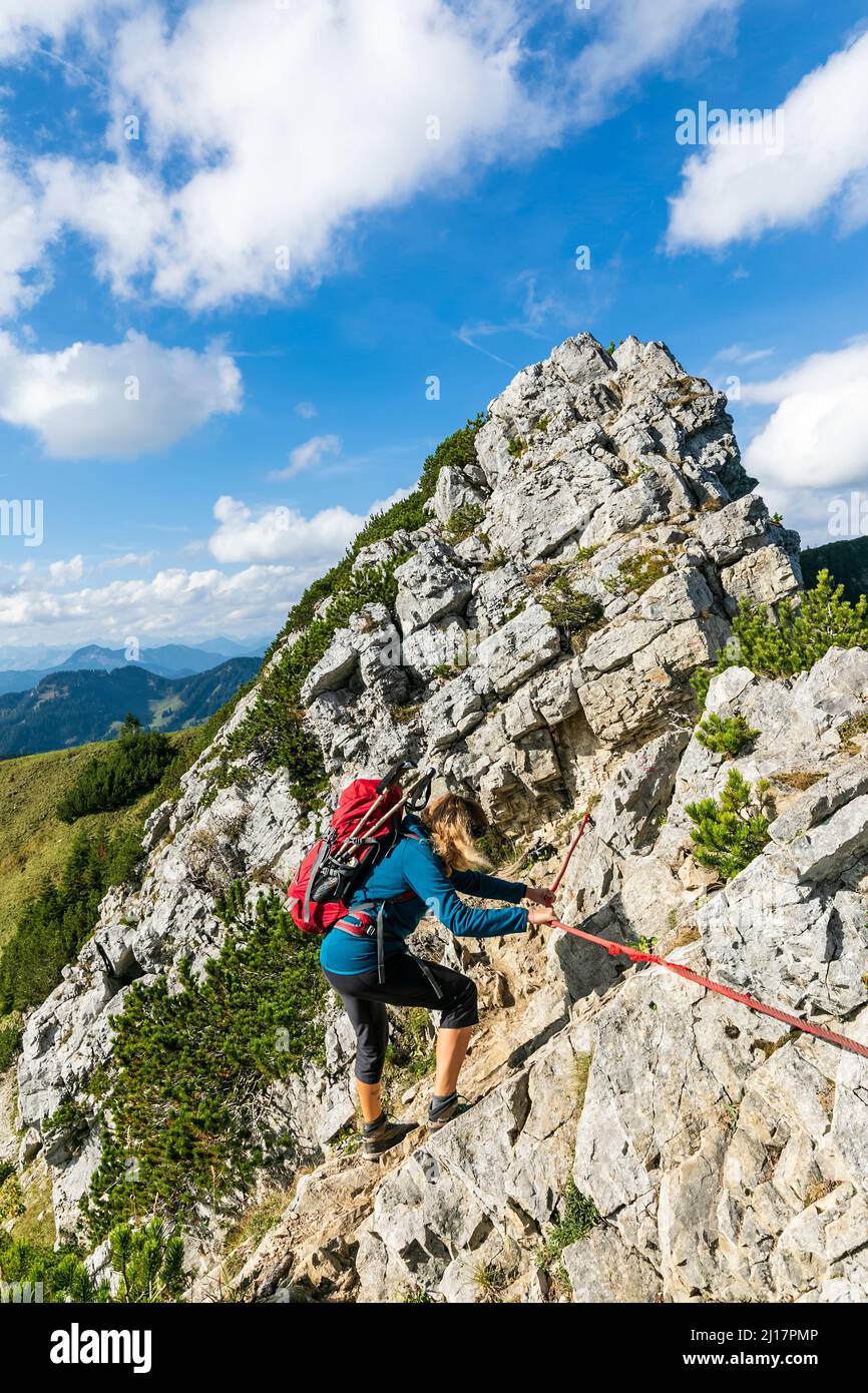 Female hiker climbing rope along mountaintop of Aiplspitz Stock Photo ...