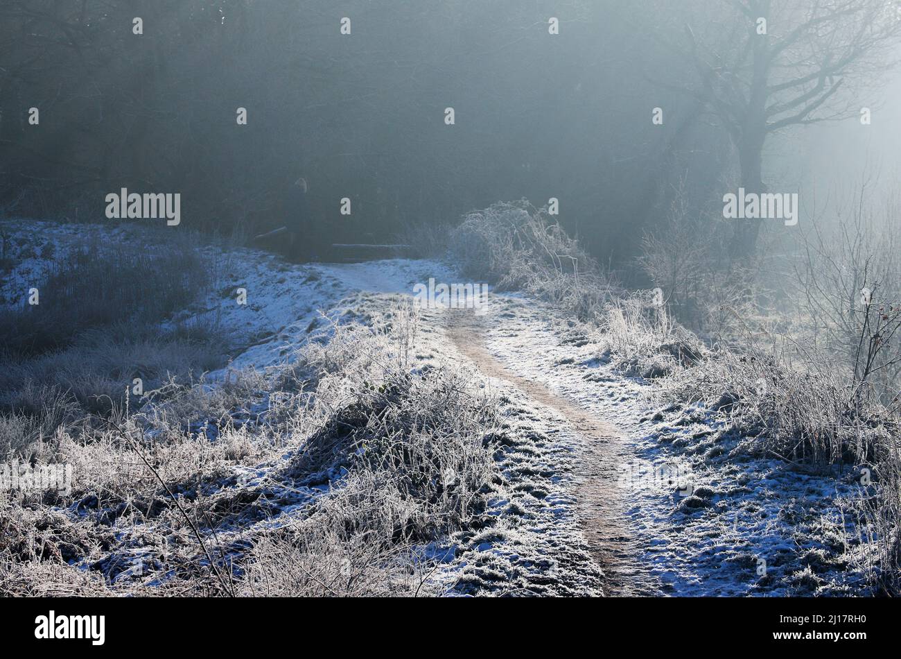 Frost covered mid-winter landscape misty morning at Castle Ring Cannock Forest on Cannock Chase AONB (area of outstanding natural beauty) in Staffords Stock Photo