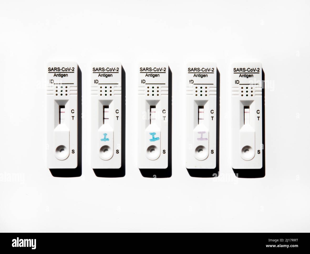 COVID-19 self-testing kits arranged on white background Stock Photo