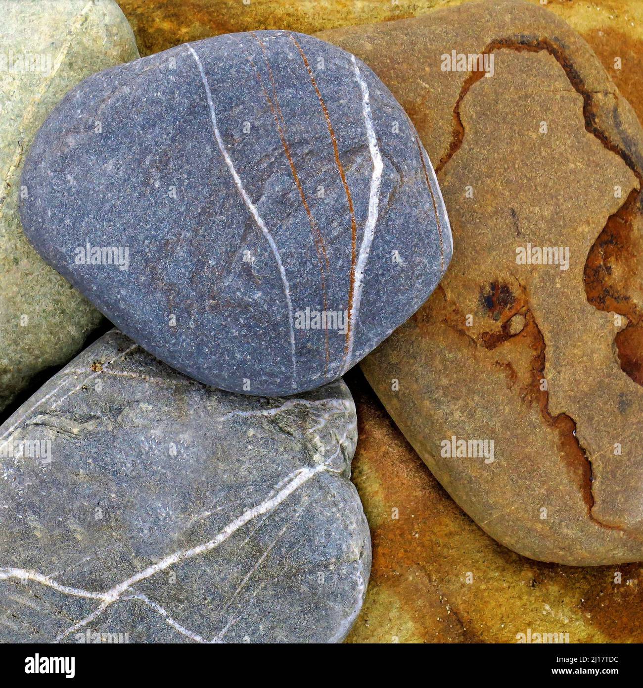 Colour photograph of coastal stones on beach smoothed and rounded by the passages of time and tide containing stone cobbles pebbles with grained Stock Photo