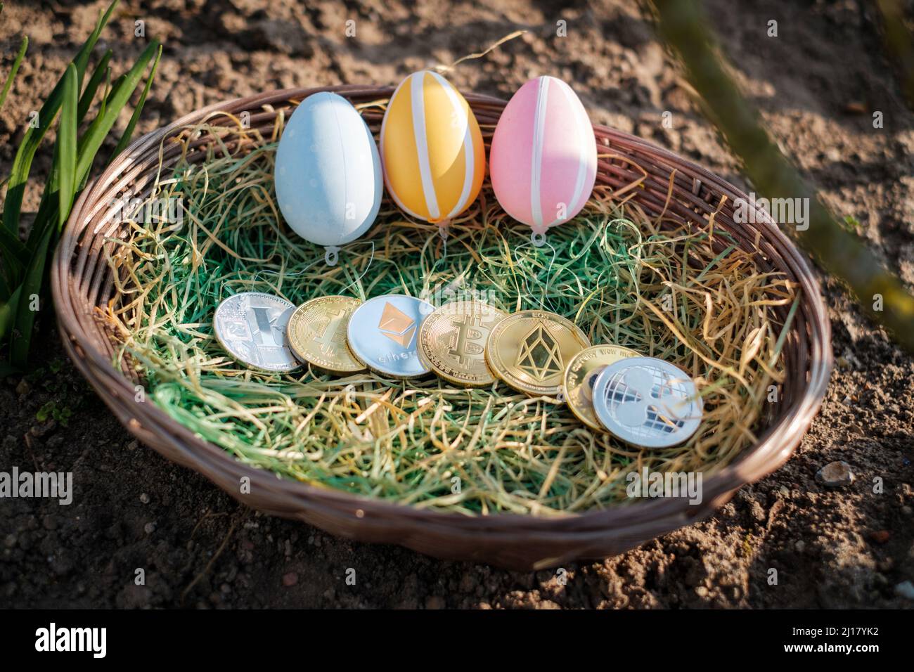 different crypto coins lie next to each other in an easter basket together  with easter eggs Stock Photo - Alamy