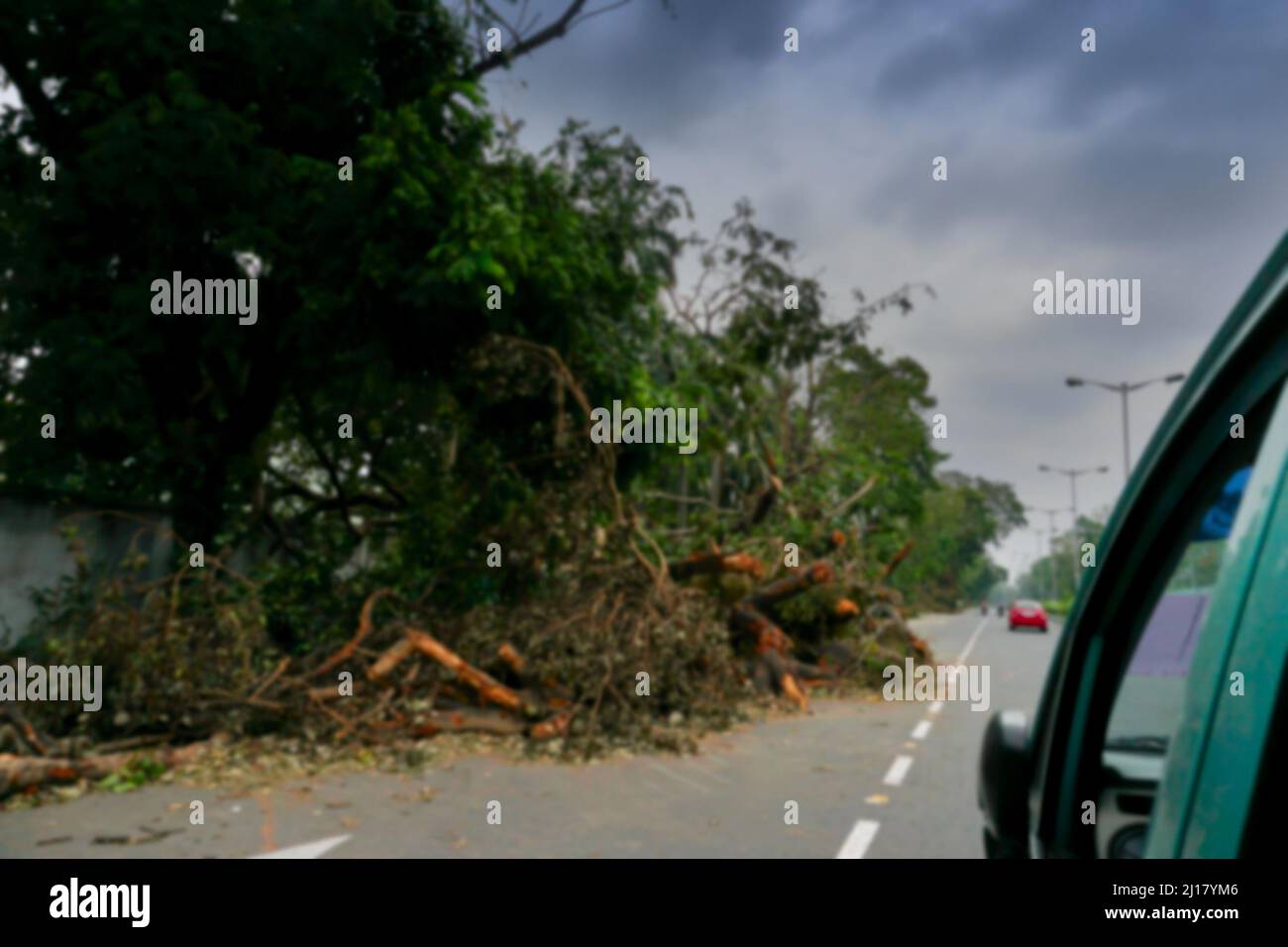 Blurred image of Kolkata, West Bengal, India. Super cyclone Amphan uprooted tree which fell and blocked pavement. The devastation has made many trees. Stock Photo