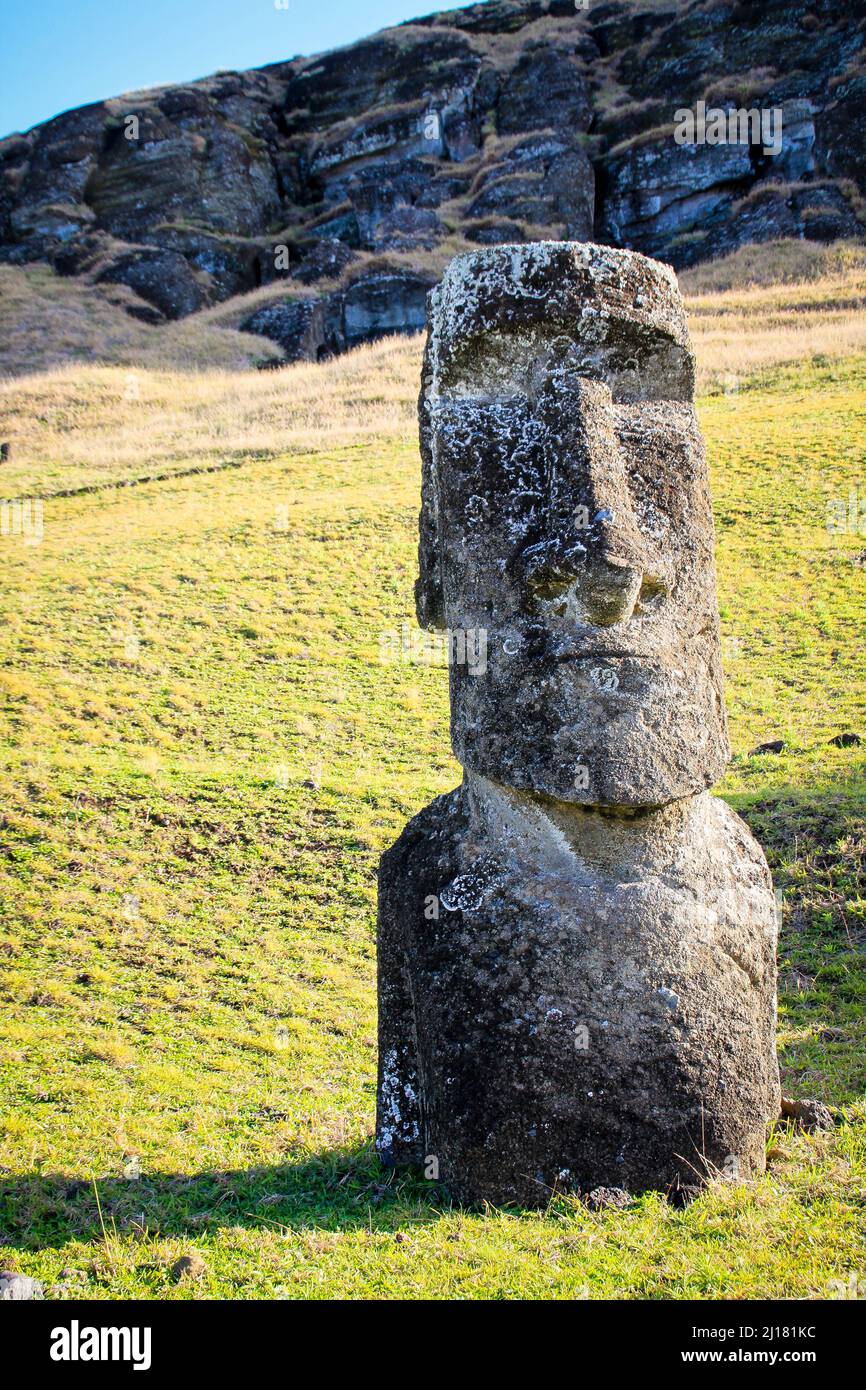 A vertical shot of Moai monolithic human figure in greenery field of Easter Island Stock Photo