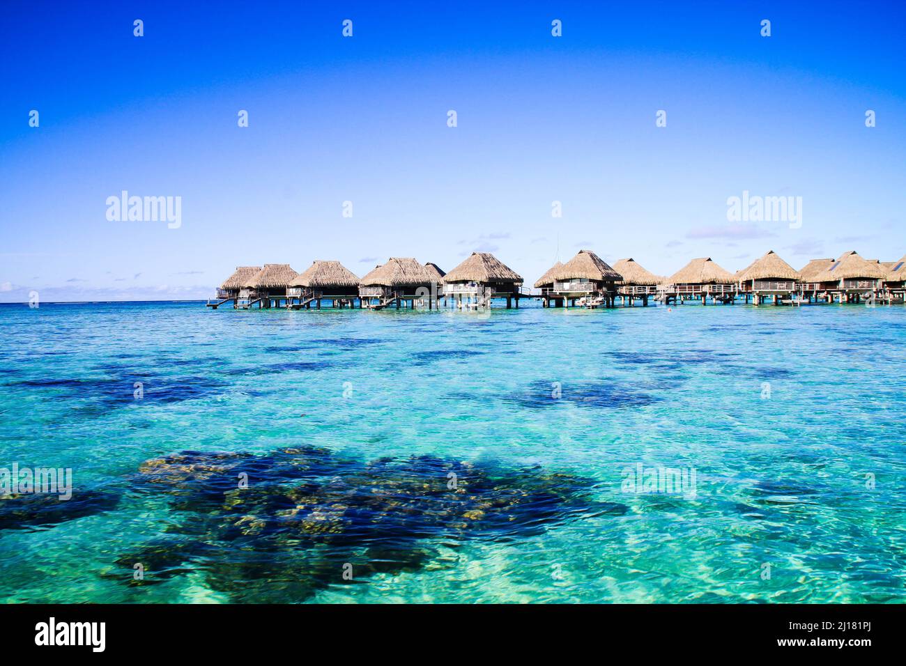 Moorea Background A beautiful view of Mo'orea south Pacific island in background of ...