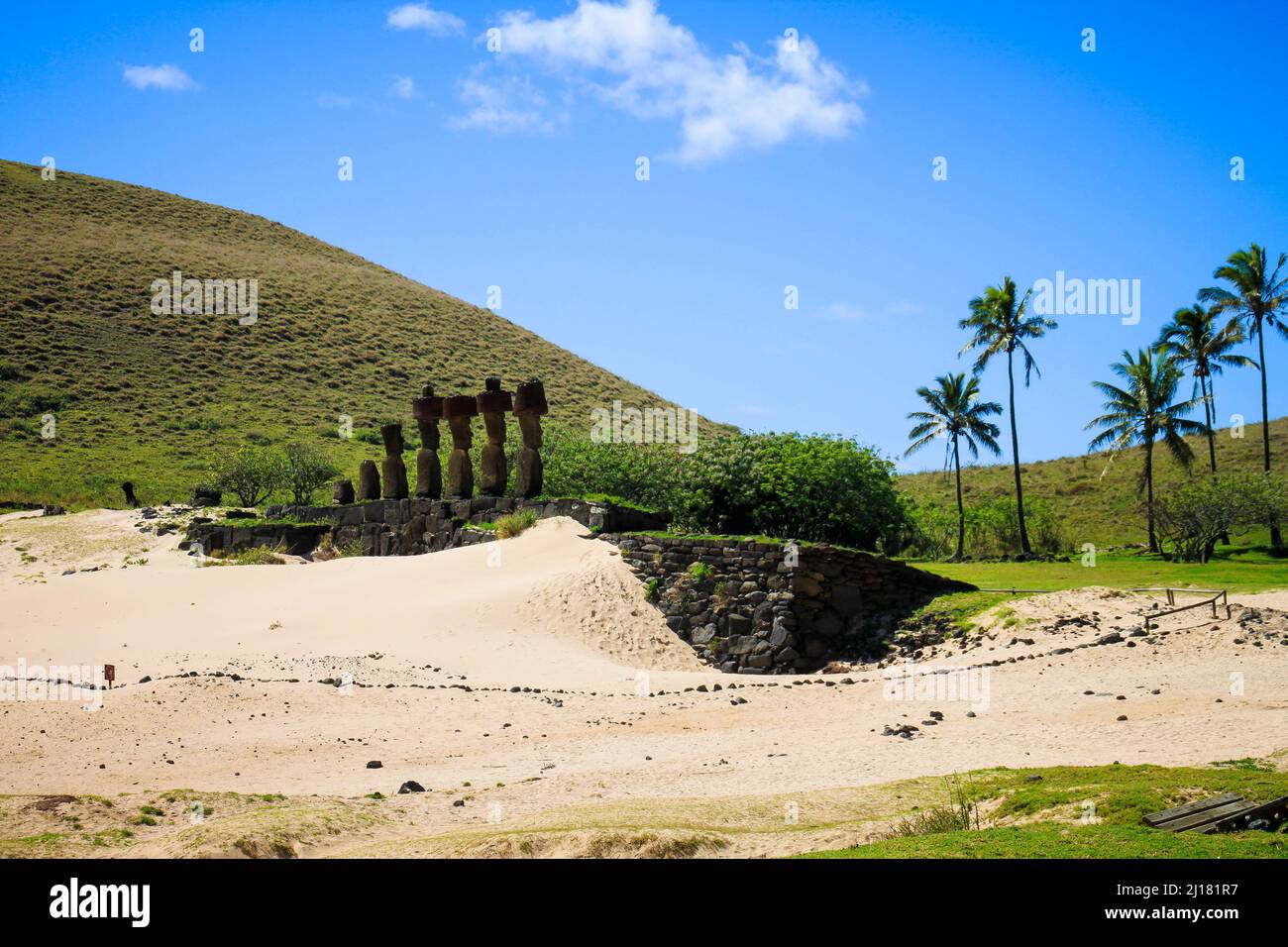 A beach of volcanic Easter Island with greenery fields and Moai statues