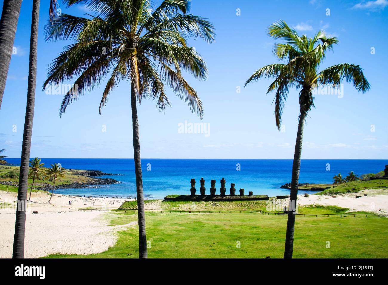 A beach in volcanic Easter Island with palm trees and Moai statues in