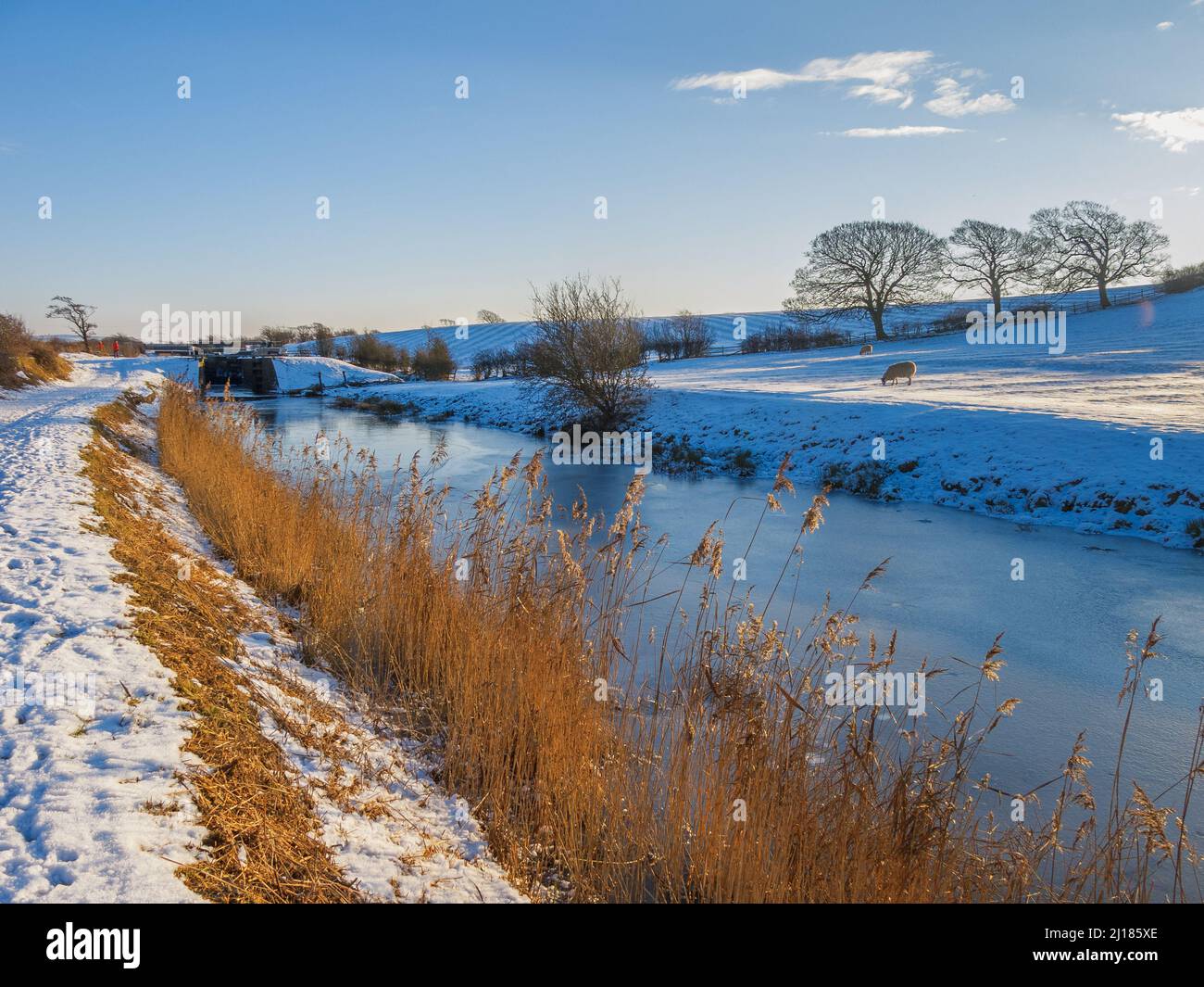 Winter along the Glasson Branch of the Lancaster Canal, Ellel, Lancashire Stock Photo