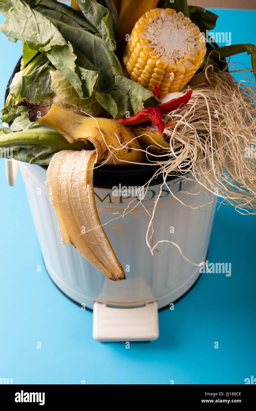 https://c8.alamy.com/comp/2J188CE/high-angle-view-of-organic-waste-in-compost-bin-on-blue-background-2J188CE.jpg