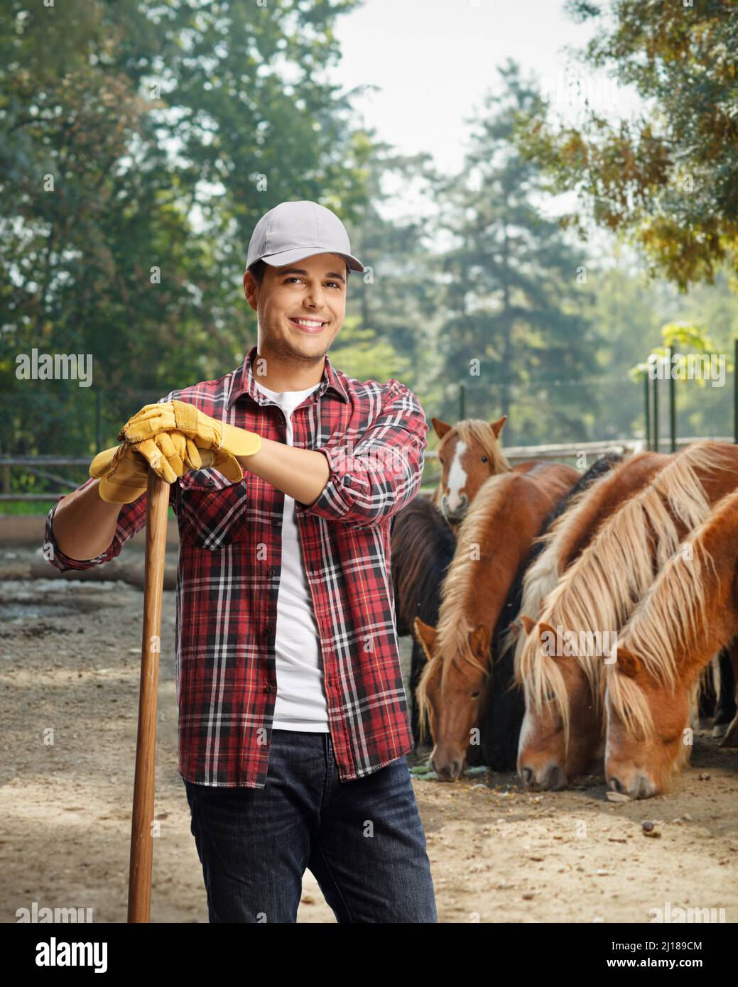 Young male farmer standing on a stud farm and smiling at camera with horses in the back Stock Photo