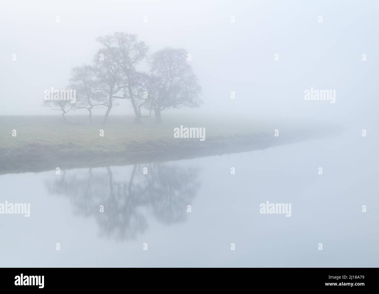 A small copse of trees is reflected in the calm waters of the River Wharfe during a morning of thick fog and minimalist conditions. Stock Photo