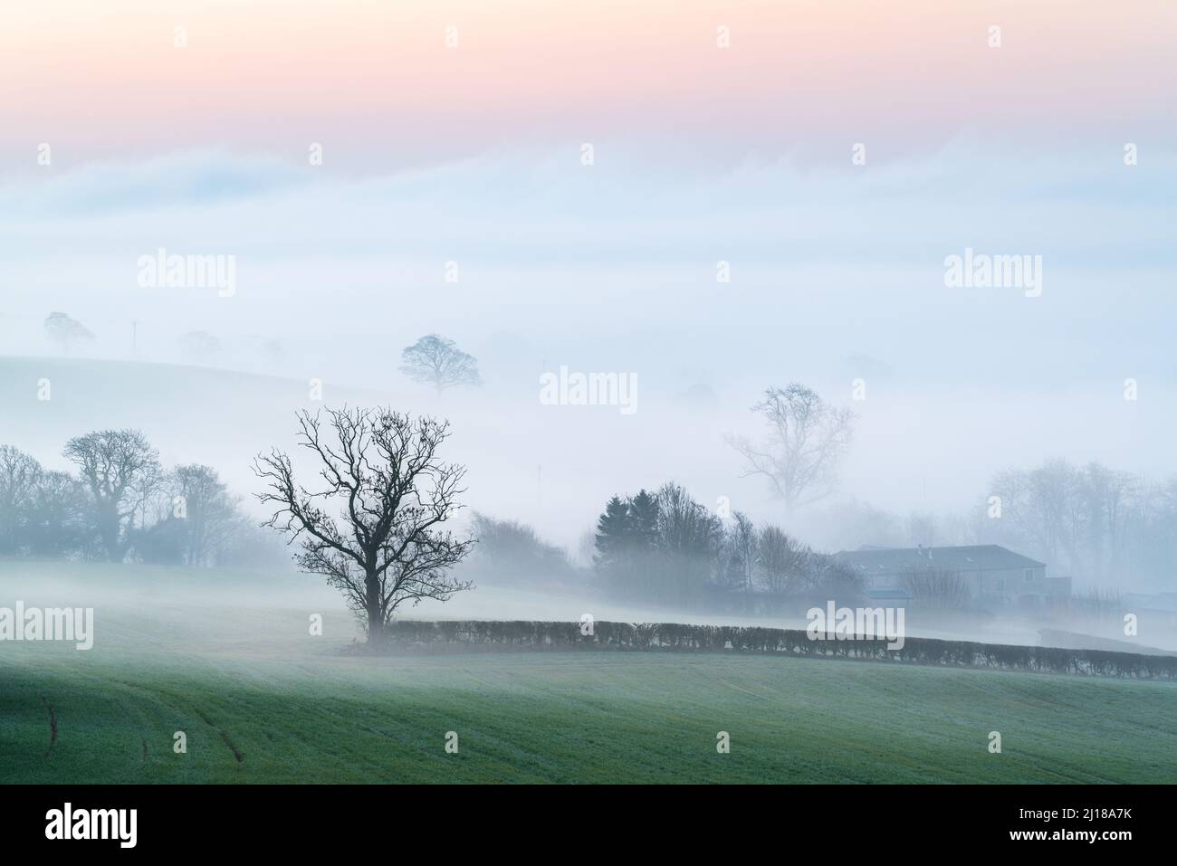 The Lower Wharfe Valley is covered in a blanket of thick fog with a small farm and scattered trees visible above the inversion on a spring morning. Stock Photo