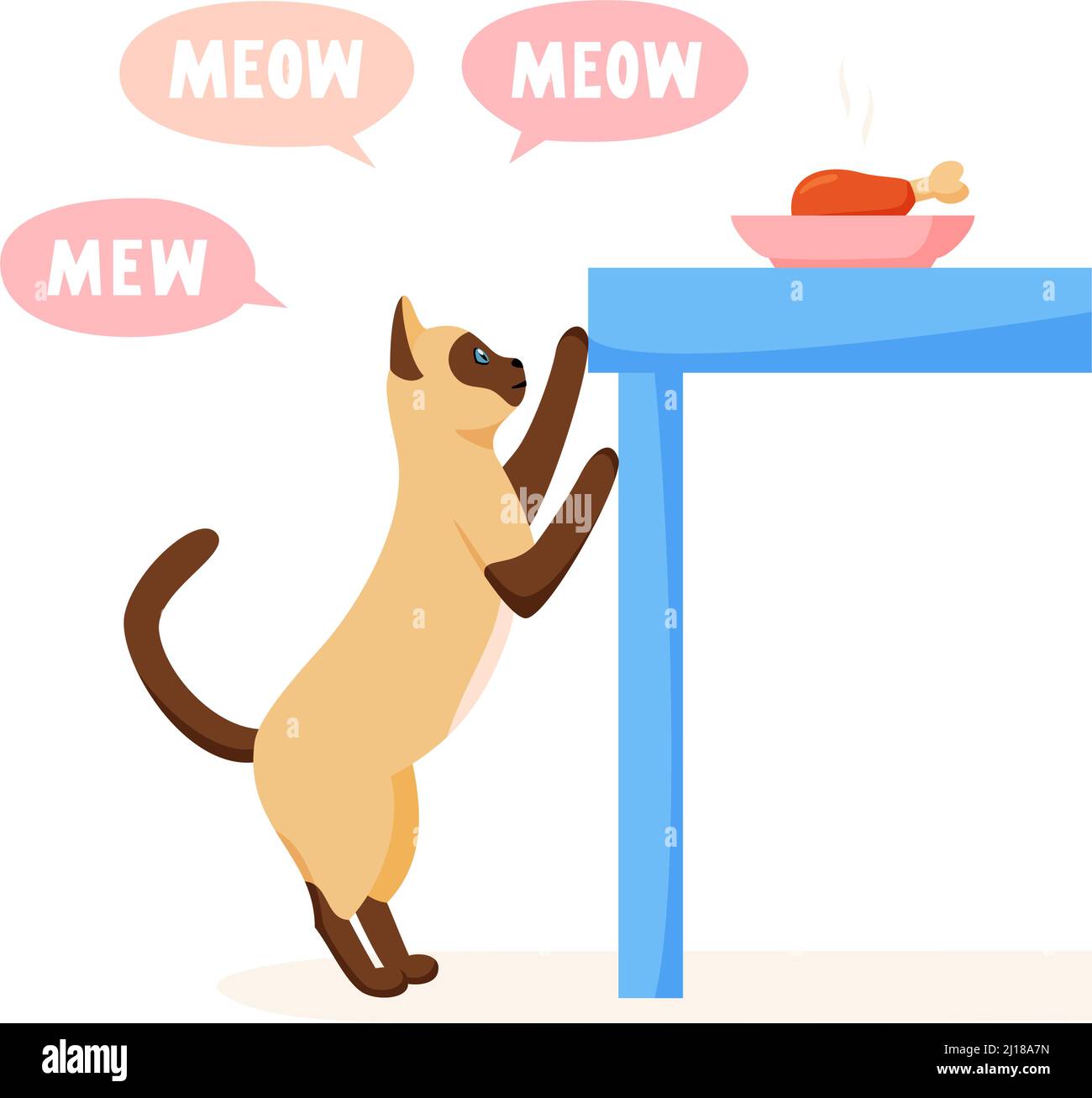 Cat begs for food from table and meows a lot. Pet asks for food. Cat steals from dinner table. Flat style vector  Stock Vector