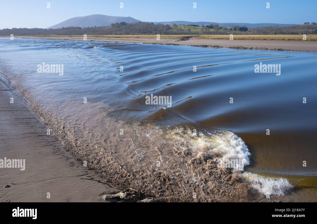The tidal bore rushes past the village of Glencaple, Dumfries and Galloway, Scotland. Stock Photo