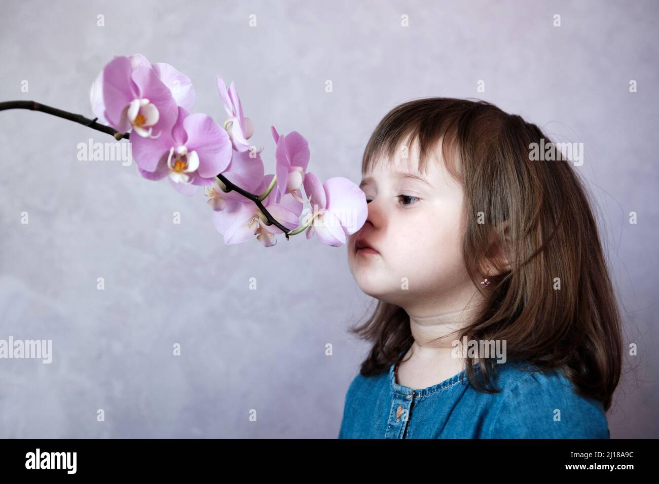 Little girl smelling pink orchid flower. Baby Girl Smelling Flowers Stock Photo