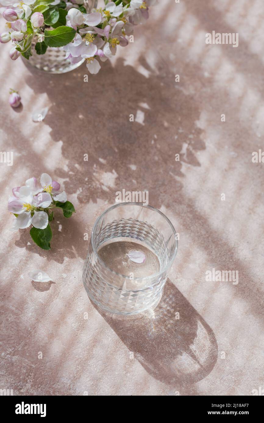 Glass of pure water on the table with blossoming apple tree branch in a glass. Morning sunshine mood Stock Photo