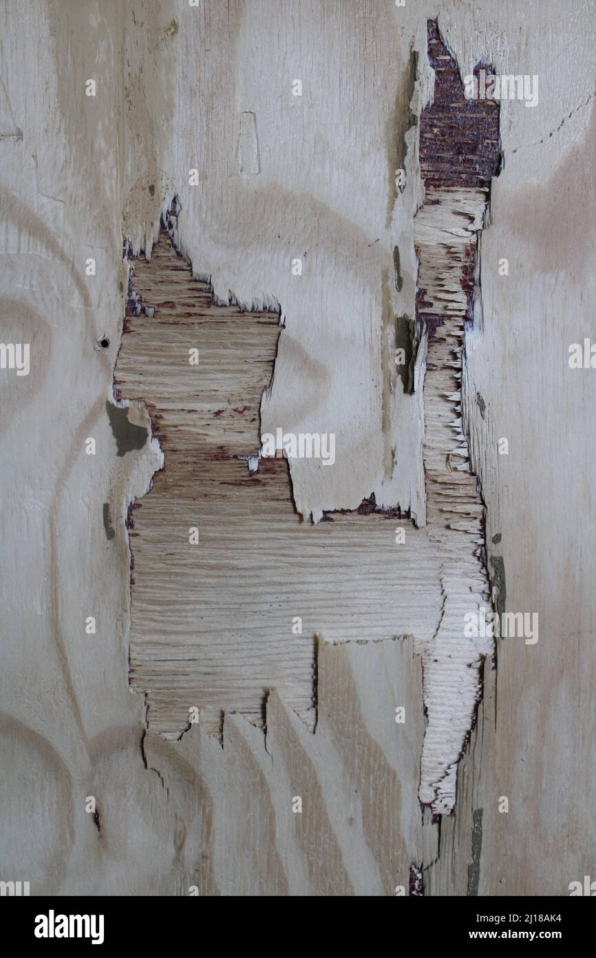 A Hole in a Layer of Common Plywood Stock Photo Alamy