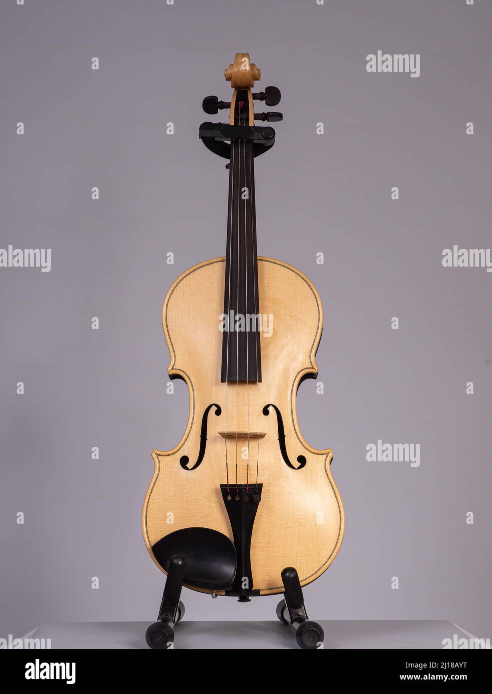 The Black Oak Violin Stock Photo