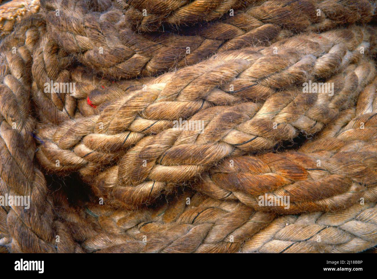 oily rope, detail, Stock Photo