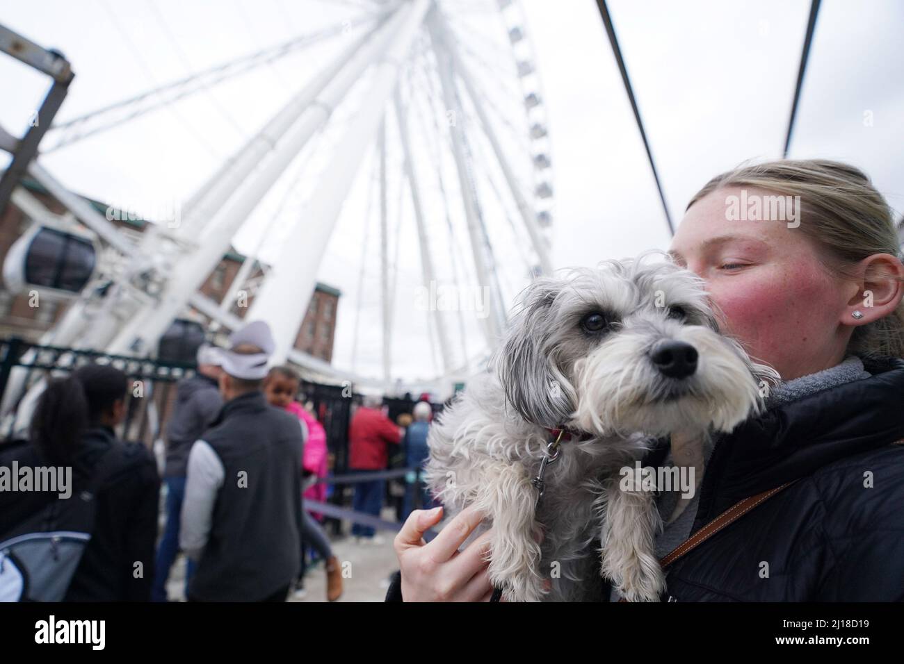 St. Louis, United States. 23rd Mar, 2022. Madi King tries to calm her schnoodle Parker before a ride on the Wheel at Union Station on National Puppy Day in St. Louis, Missouri, on Wednesday, March 23, 2022. Passengers were allowed to bring their furry friends for a free ride on Puppy Day. Photo by Bill Greenblatt/UPI Credit: UPI/Alamy Live News Stock Photo