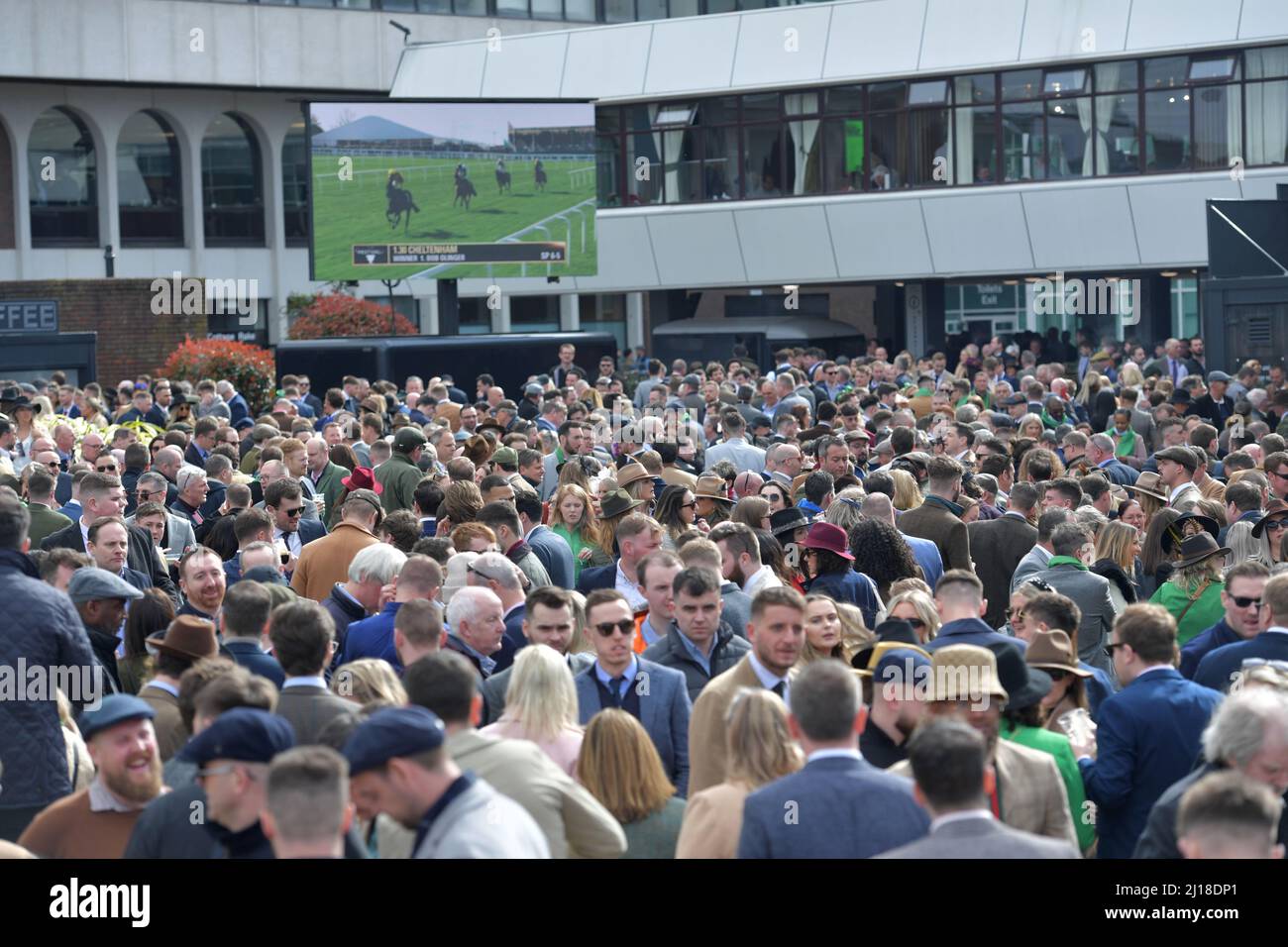 Day Three at Cheltenham Racecourse Gold Cup Festival   St Patrick's Day    Pictures by Mikal Ludlow Photography  Tel; 07855177205  17-3-22 Stock Photo