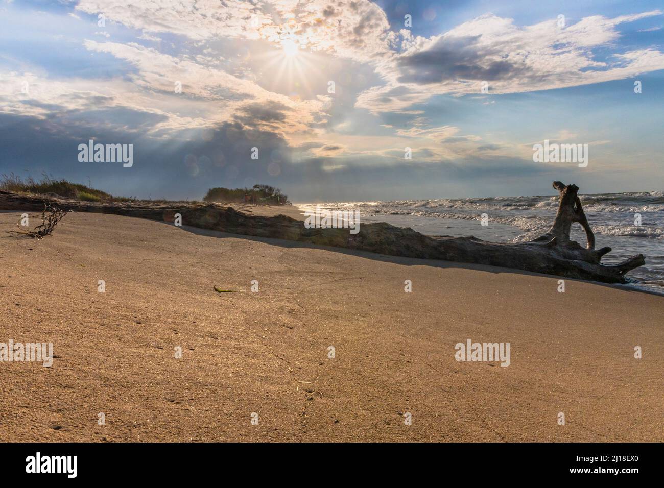 View of the sea coast with a beached log at sunset Stock Photo