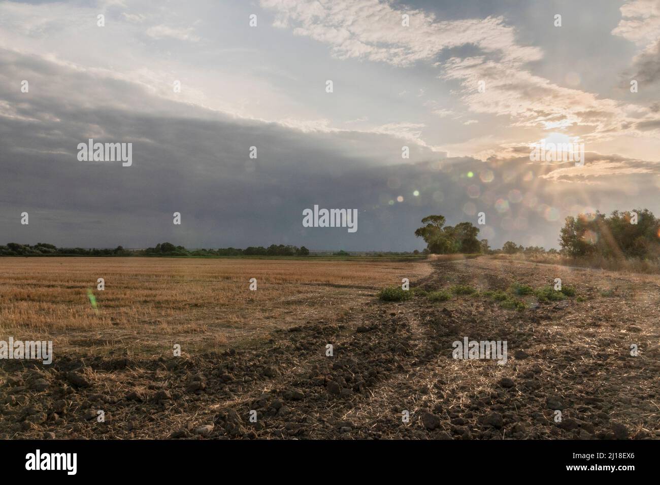Countryside landscape with the setting sun Stock Photo