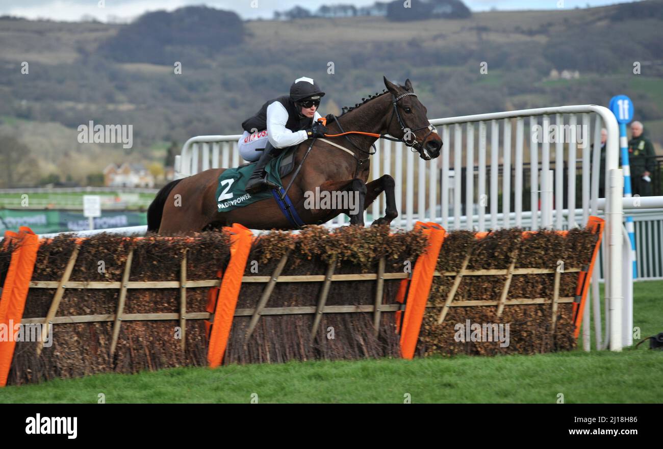 Flooring porter horse hires stock photography and images Alamy