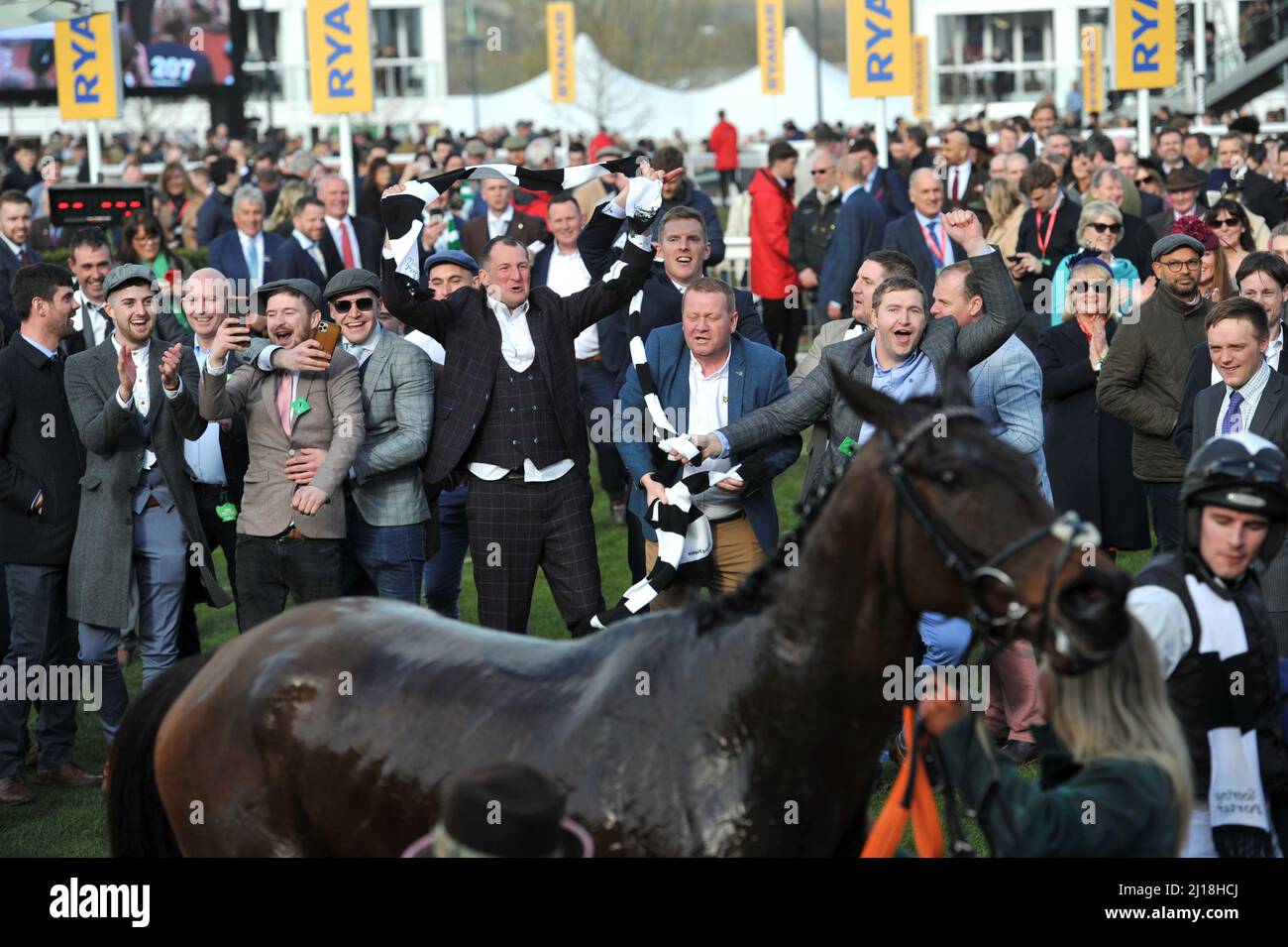 Paddy Power Stayers Hurdle Day The owners celebrate the winner Flooring