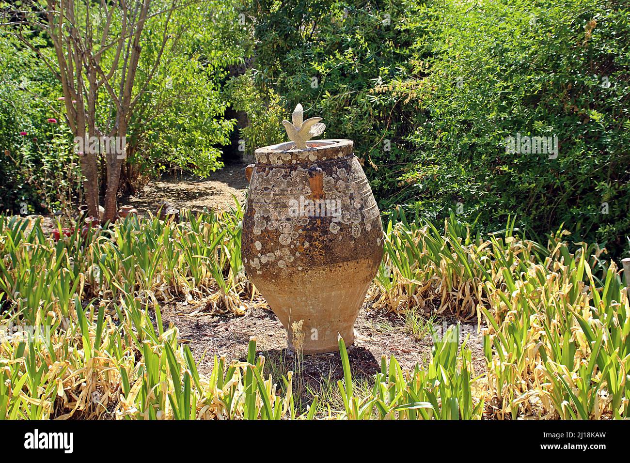 CORFU, GREECE SEPTEMBER 14, 2017 the gardens and planting of The