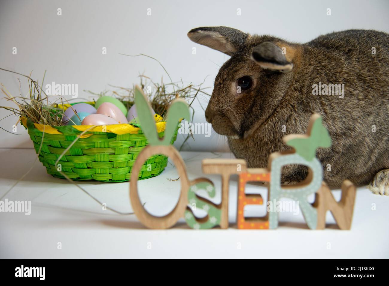 Ostern symbol hi-res stock photography and images - Alamy