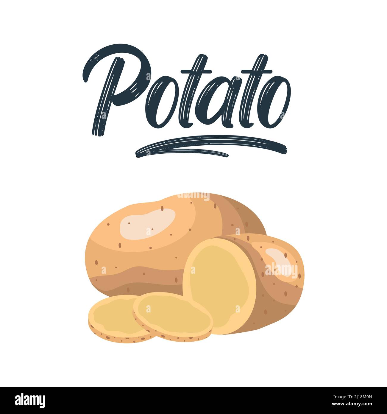 Potatoes isolated on background. Set of wedges, whole, slices, half, rings potatoes. Vector illustration top view Stock Vector