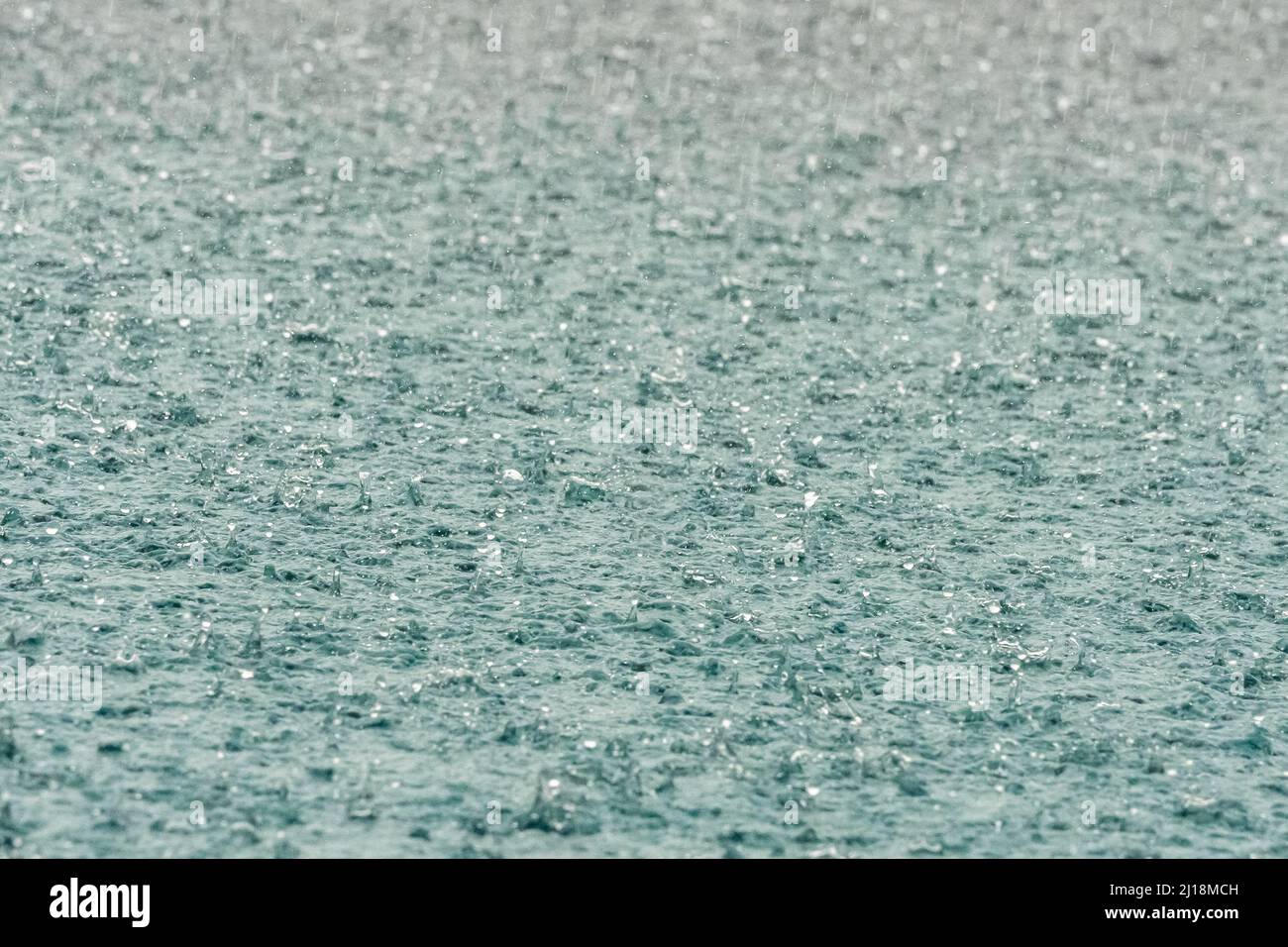 Beautiful closeup view of heavy rain drops in rainy season Stock Photo ...