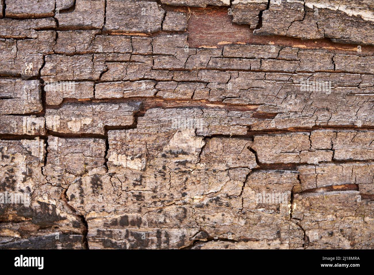 Wall many cracks in hi-res stock photography and images - Alamy