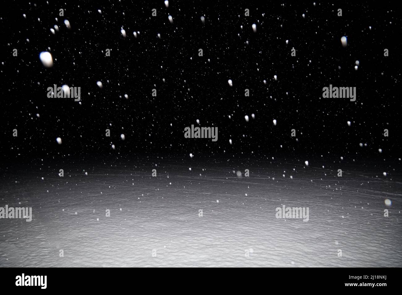 Black on a background of white snow hi-res stock photography and images -  Alamy