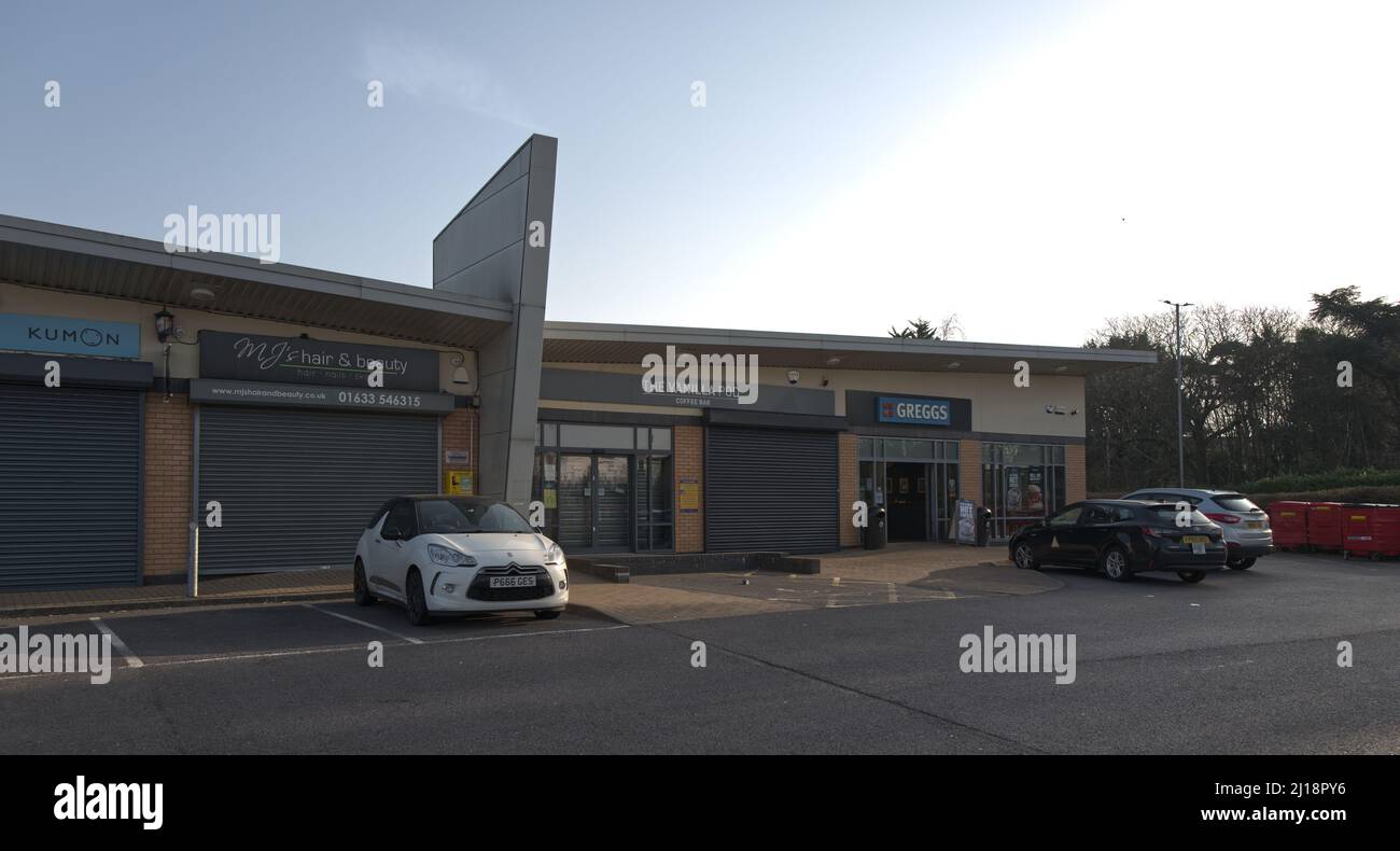 Cleppa Park celtic springs near Newport South Wales Stock Photo - Alamy