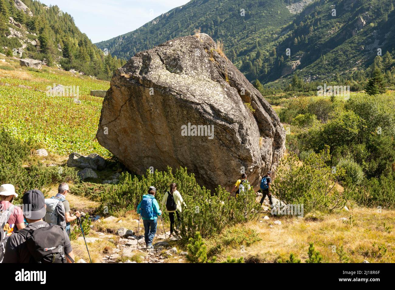 Large glacial erratic boulder in the Urdini Lakes Valley, Rila Mountain, Bulgaria, Eastern Europe, Balkans Stock Photo