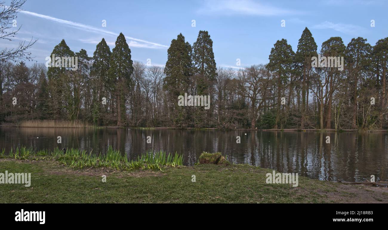 Cleppa Park celtic springs near Newport South Wales Stock Photo - Alamy