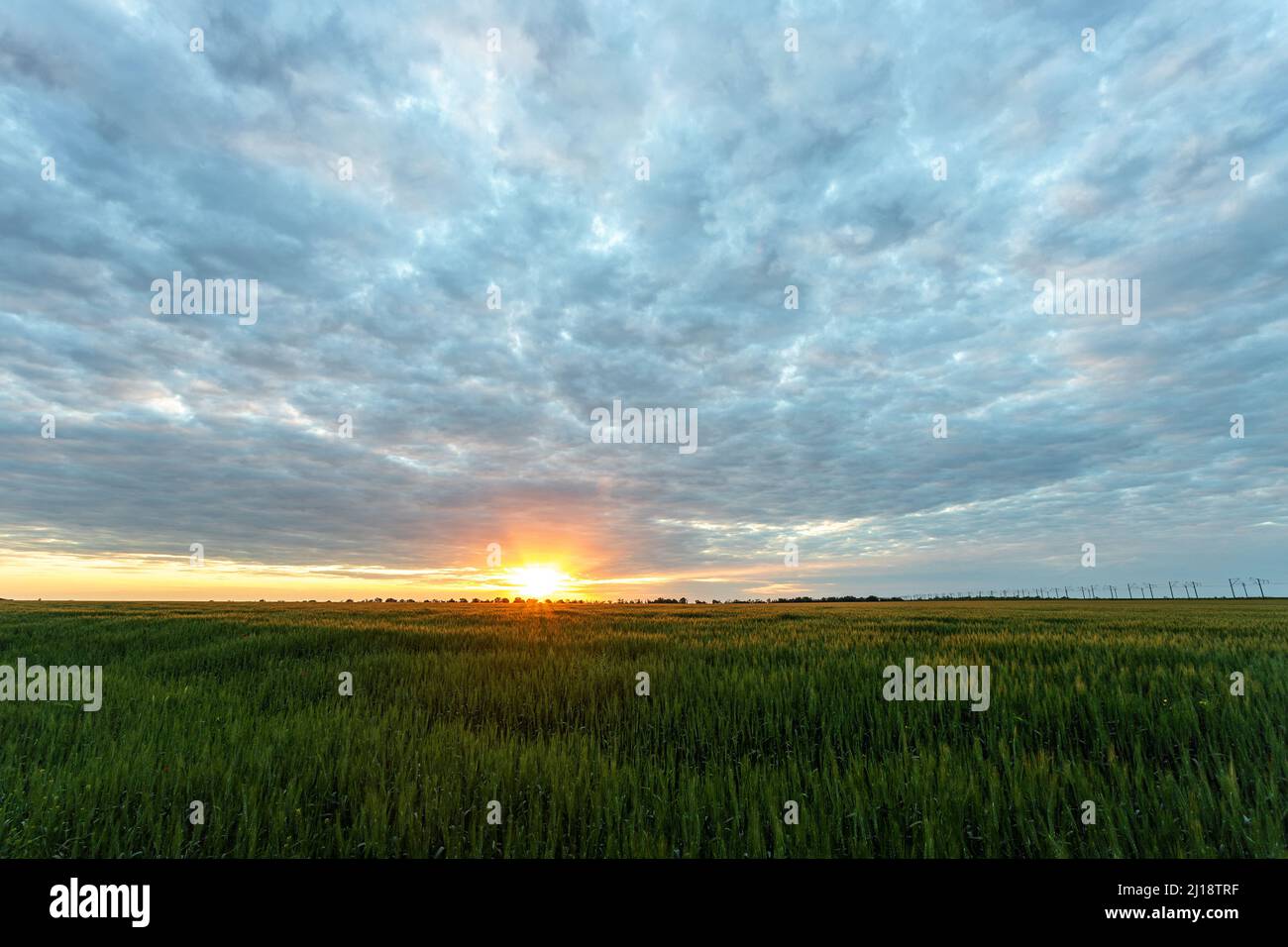 A beautiful sunset with field in the foreground Stock Photo